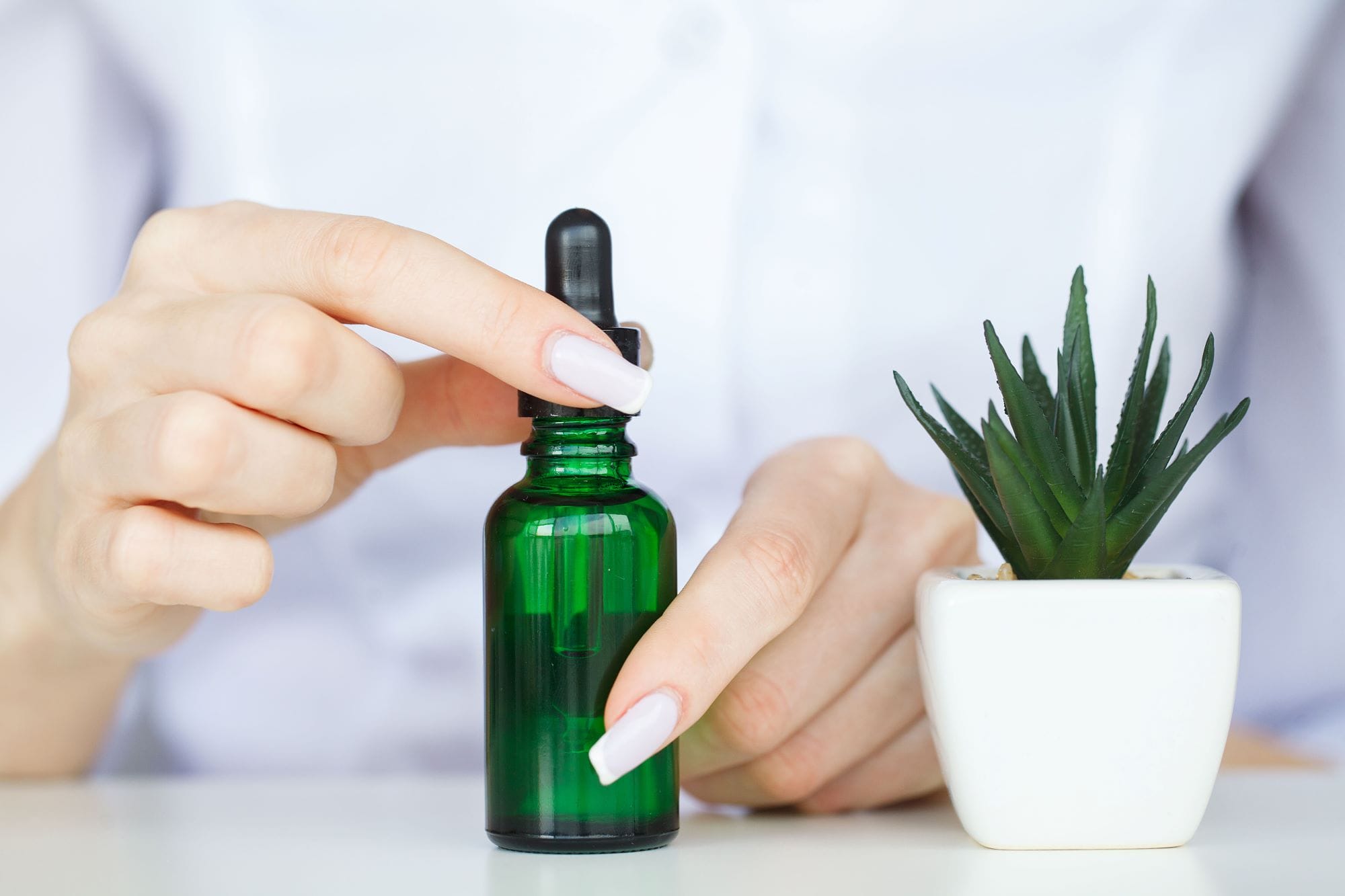 essential oil in a green bottle near a succulent plant